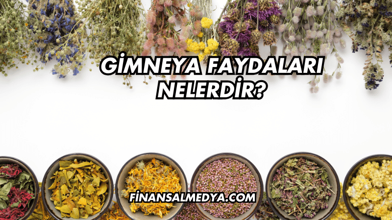 Gimneya Faydaları Nelerdir?