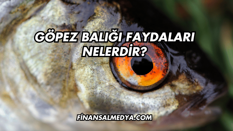 Göpez Balığı Faydaları Nelerdir?