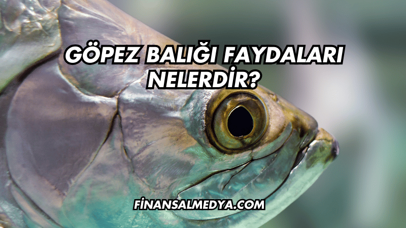 Göpez Balığı Faydaları Nelerdir?