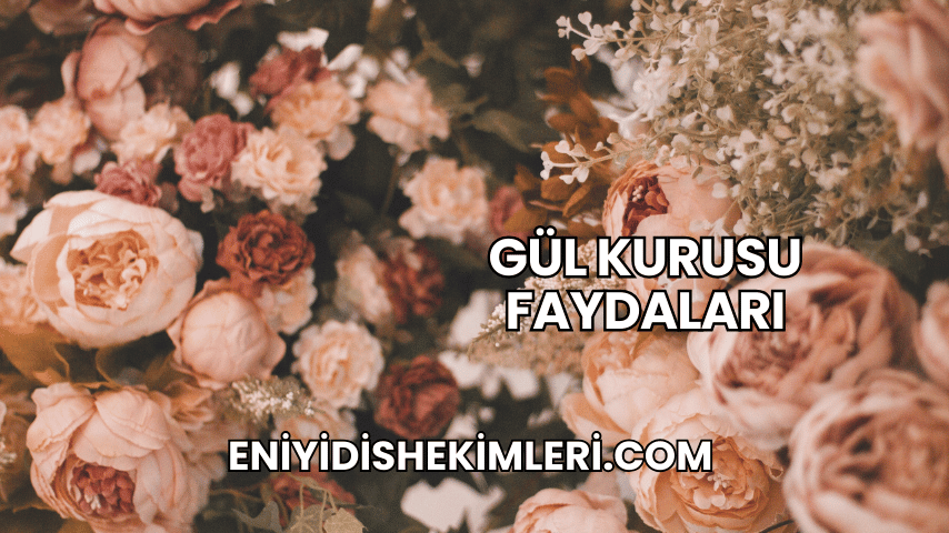 Gül Kurusu Faydaları