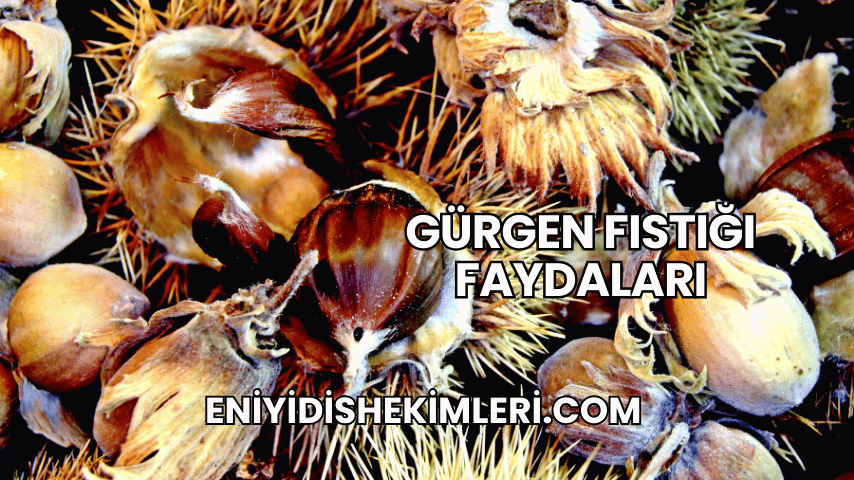 Gürgen Fıstığı Faydaları