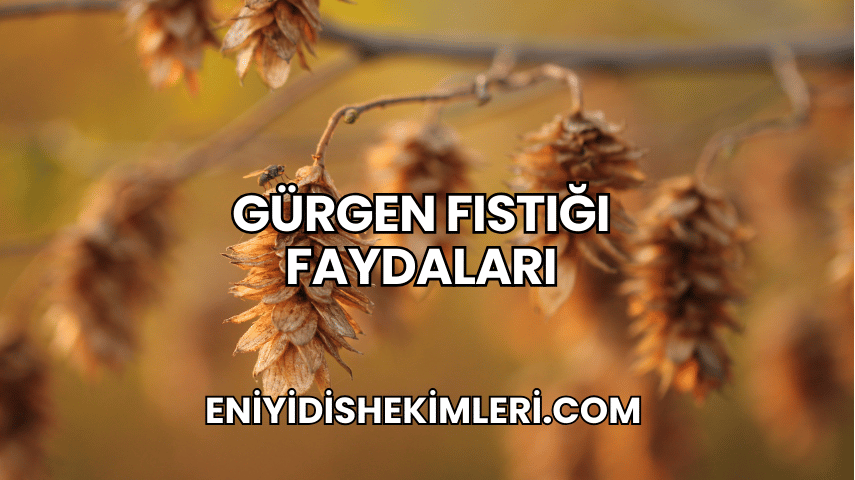 Gürgen Fıstığı Faydaları