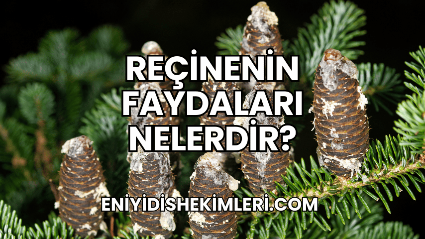 Reçinenin Faydaları Nelerdir?