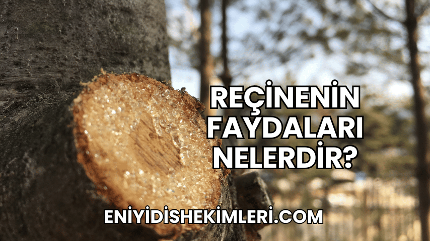 Reçinenin Faydaları Nelerdir?