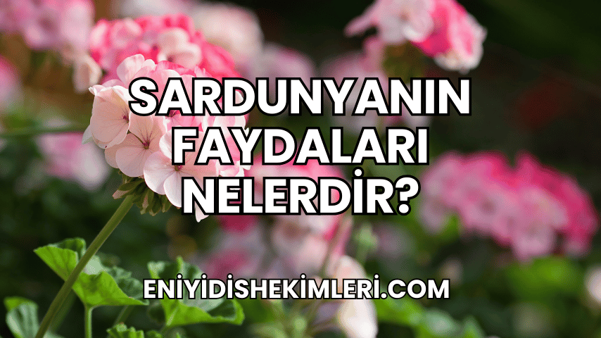 Sardunyanın Faydaları Nelerdir?