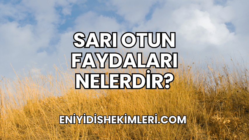 Sarı Otun Faydaları Nelerdir?