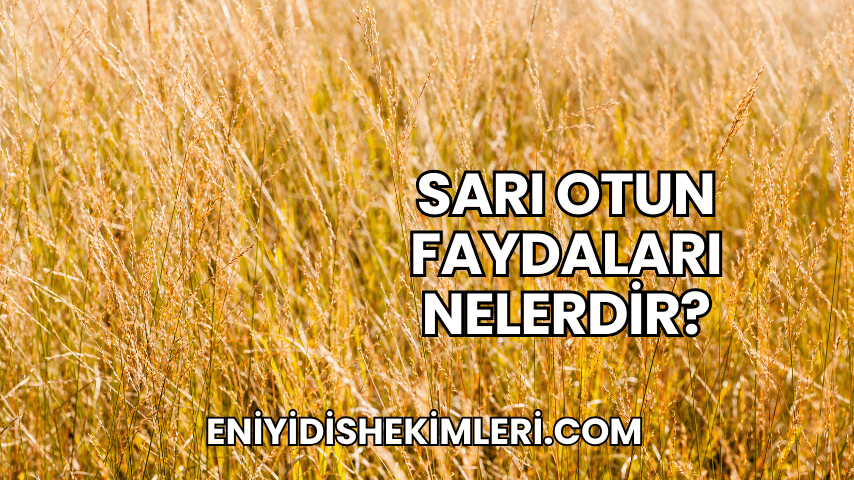 Sarı Otun Faydaları Nelerdir?