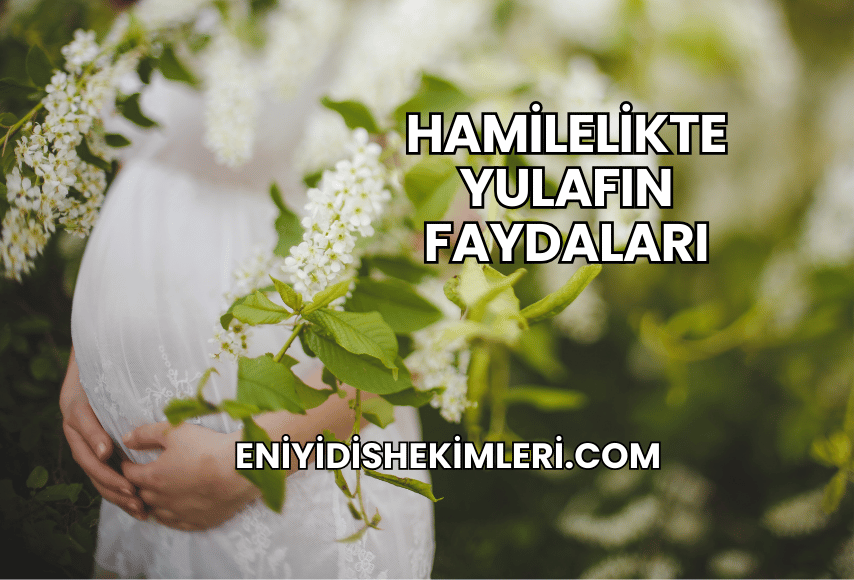 Hamilelikte Yulafın Faydaları