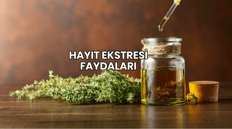 Hayıt Ekstresi Faydaları