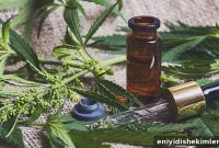 CBD Oil Benefits for Improved Oral and Overall Health