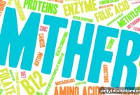 How MTHFR Gene Variants Affect Your Dental Health and Treatment