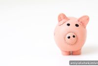 No Dental Insurance? Affordable Options and Steps to Get Care