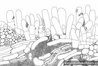 How P. gingivalis Colonizes the Mouth: New Study Insights