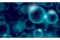 Can Nano-Hydroxyapatite Cross the Blood–Brain Barrier?