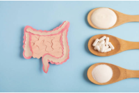 Taking Probiotics Without Prebiotics? Why You Might Be Missing Out