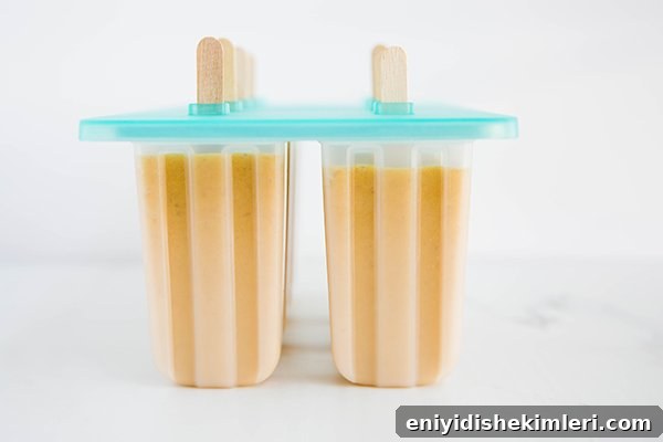 Natural Teething Remedies for Babies: Safe Soothers and Tips 10 popsicles