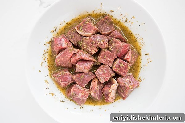 Paleo Steak Bites with Tangy Marinade for Quick Weeknight Meals 4 img 19020 3