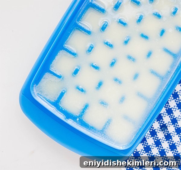 Remineralizing Coconut Oil Pulling Chews for Stronger Teeth 6 img 19022 5