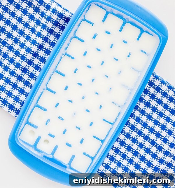 Remineralizing Coconut Oil Pulling Chews for Stronger Teeth 7 img 19022 6