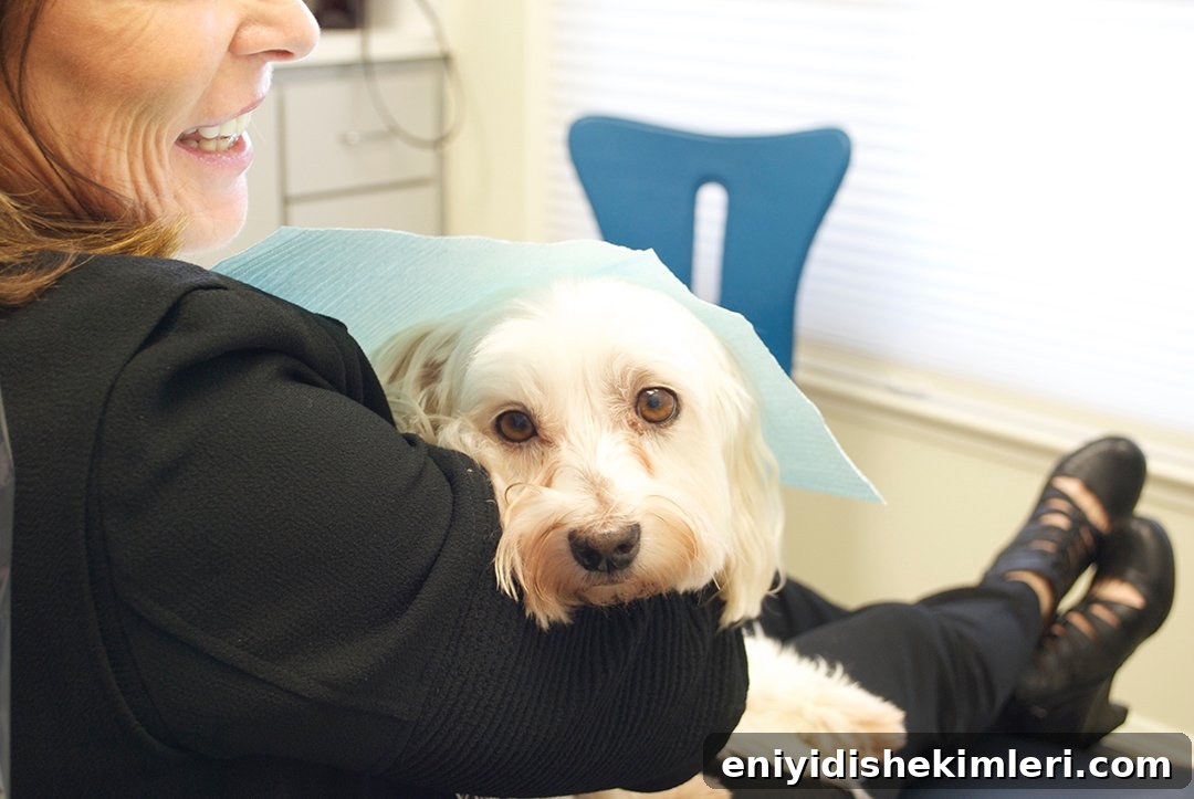10 Proven Strategies to Overcome Dental Anxiety and Fear of the Dentist 3 img 20544 2