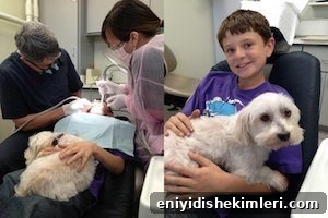 Fearful of the Dentist? Try This Gentle, Natural Solution 2 afraid of the dentist